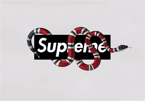 gucci and supreme pictures